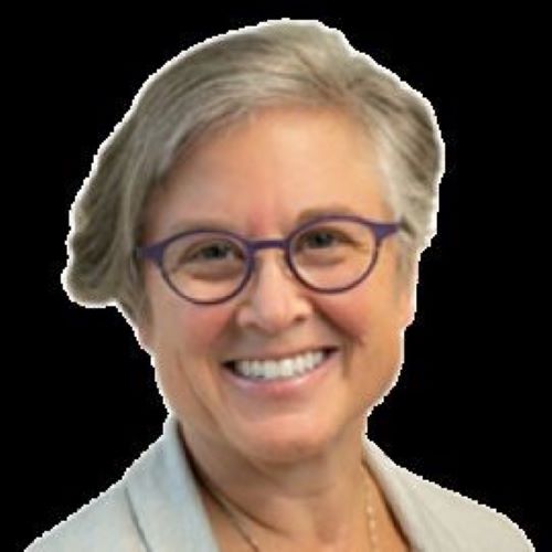 Susan Peterson-Lerdahl